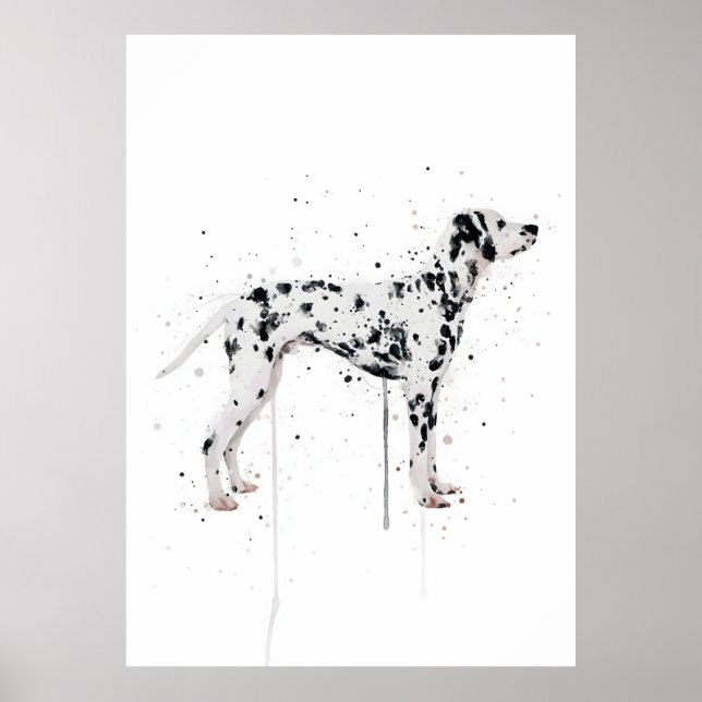 Dalmatiner Hund Poster (Vorne)