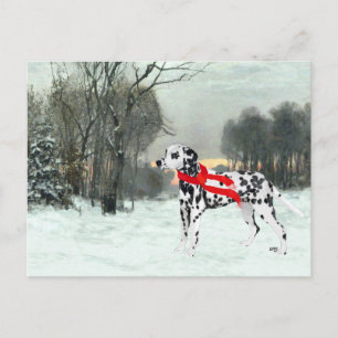 Dalmatiner im Winterschnee Postkarte