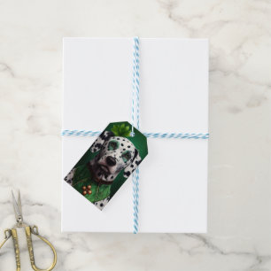 Dalmatiner in St. Patrick's Day-Kleidung Geschenkanhänger