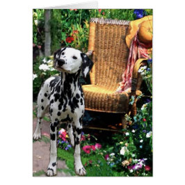 Dalmatiner Kunstgeschenke