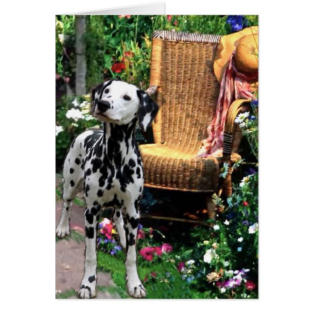 Dalmatiner Kunstgeschenke (Vorne)