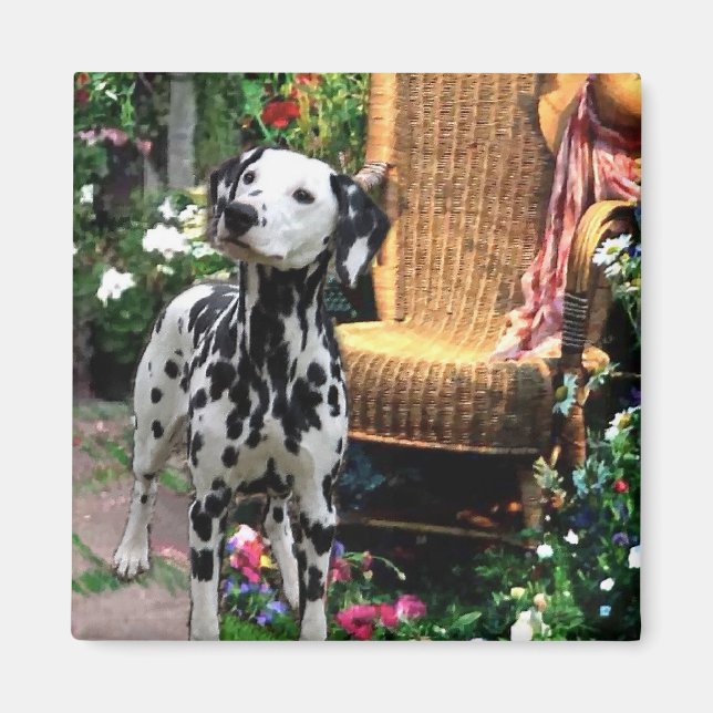 Dalmatiner Kunstgeschenke Magnet (Vorne)