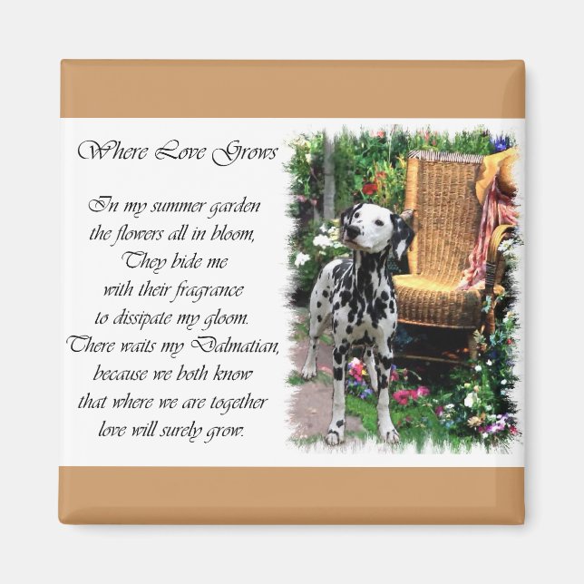 Dalmatiner Kunstgeschenke Magnet (Vorne)