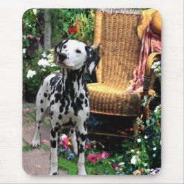 Dalmatiner Kunstgeschenke Mousepad