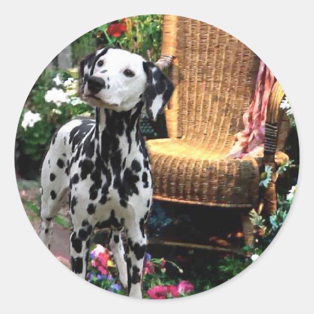 Dalmatiner Kunstgeschenke Runder Aufkleber (Vorderseite)