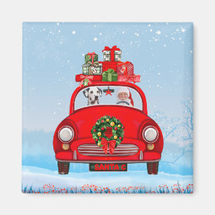 Dalmatiner mit dem Weihnachtsmann im Auto Magnet