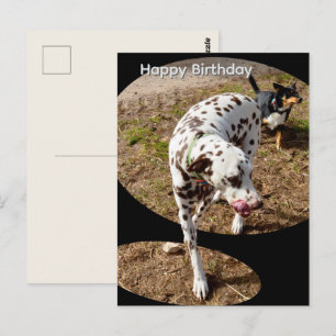 Dalmatiner-Popout-Kunst, Geburtstagspostkarte Postkarte