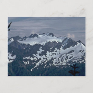 Dalmatiner Postkarte