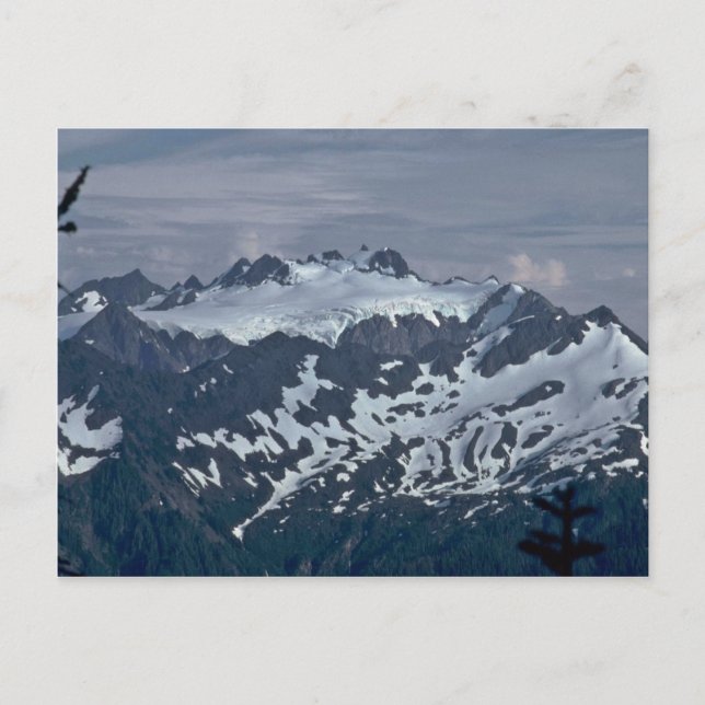 Dalmatiner Postkarte (Vorderseite)