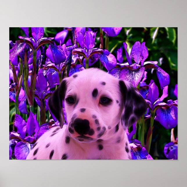 Dalmatiner Puppy Iris Blume Hund Kunst Poster (Vorne)