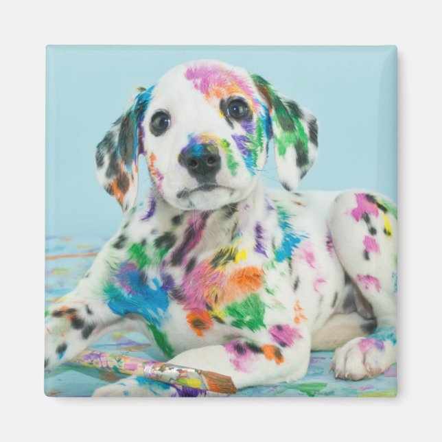 Dalmatiner Puppy Magnet (Vorne)