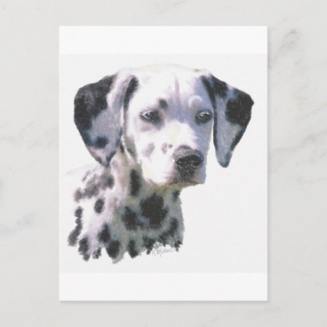 Dalmatiner Puppy Postkarte (Vorderseite)