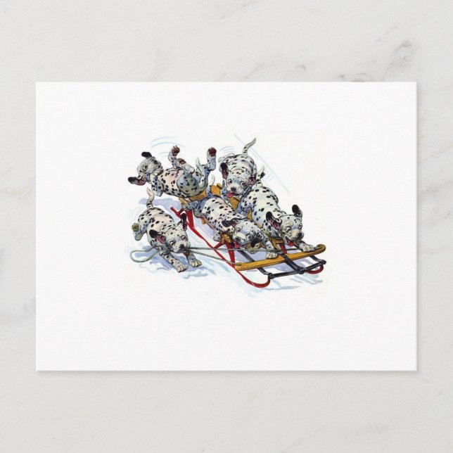 Dalmatiner-Pups Postkarte (Vorderseite)