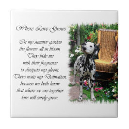 Dalmatiner Summer Garden Fliese