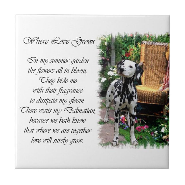 Dalmatiner Summer Garden Fliese (Vorderseite)