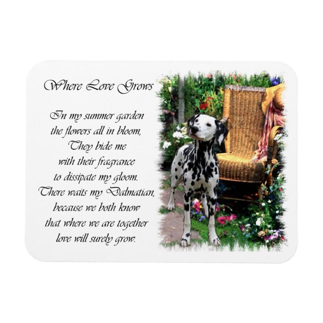 Dalmatiner Summer Garden Magnet (Horizontal)