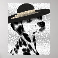 Dalmatiner und Brimmer Black Hat