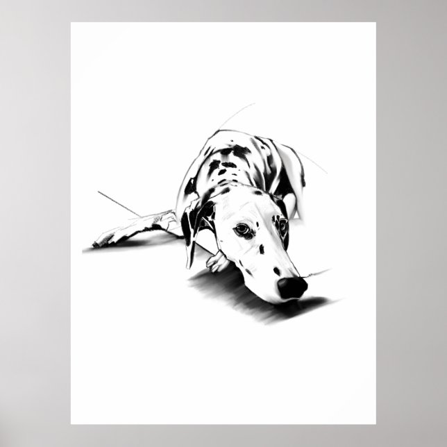 Dalmatiner Wandkunst Poster – Handgezeichnet (Vorne)
