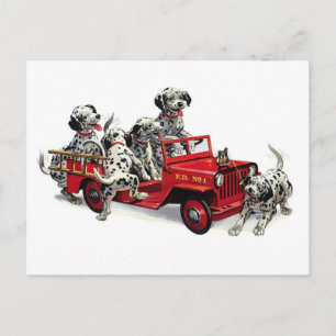 Dalmatiner-Welpen mit Feuerwehrauto Postkarte