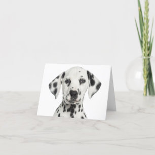 Dalmatiner Welpenhund Hallo, Danke, Liebe, Entschu Karte