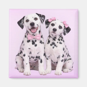 Dalmatiner-Welpenliebe – Valentins-Hundepaar-Magne Magnet