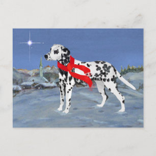 Dalmatinische Winternacht Postkarte