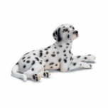 Dalmation Foto Stand-Oben Ausschnitt<br><div class="desc">Der beste dang Dalmatiner,  der dort herausgeschnitten wird,  ist. (Nicht wirklich aber wert Ihren Dollar)</div>