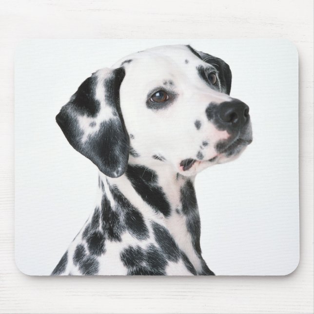 Dalmation Mousepad (Vorne)