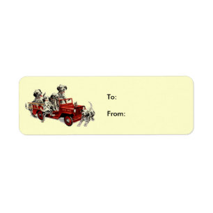 Dalmation-Welpe-Feuer-Motor, zu: Von: