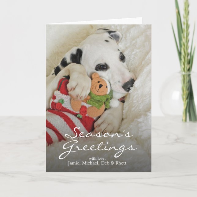 Dalmation Welpe mit WeihnachtsStrumpf Feiertagskarte (Vorderseite)