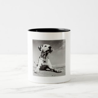 Dalmation Welpe Zweifarbige Tasse