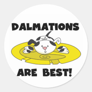 Dalmations sind beste T - Shirts und Geschenke Runder Aufkleber