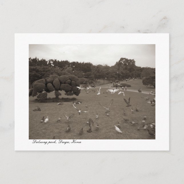 Dalseong Park, Daegu, Südkorea Postcard Postkarte (Vorderseite)