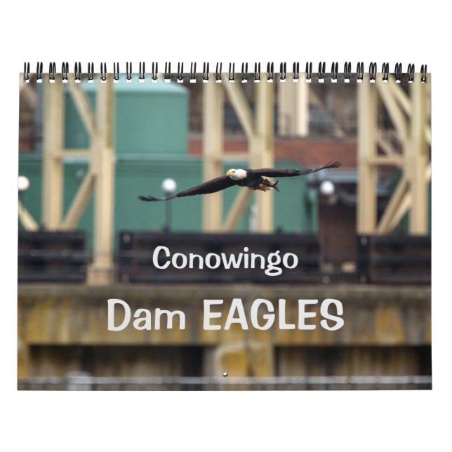 Dam Eagles Kalender (Titelbild)