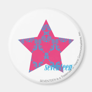 Damask Aqua-Magenta 2 Magnet