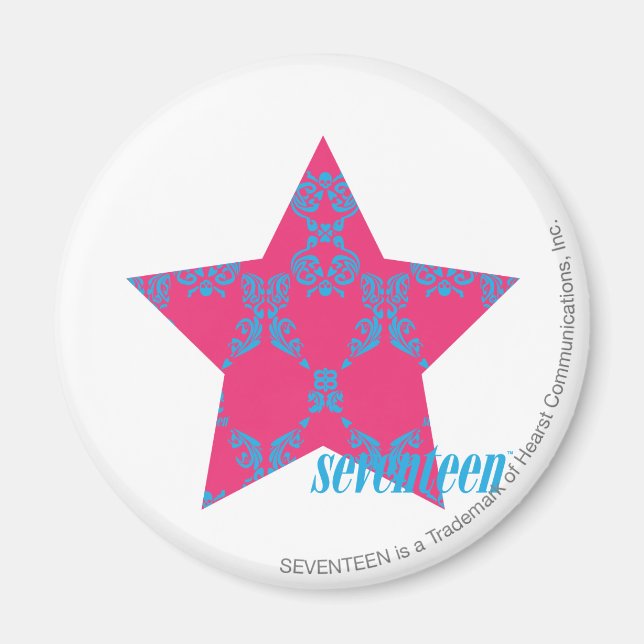 Damask Aqua-Magenta 2 Magnet (Vorne)