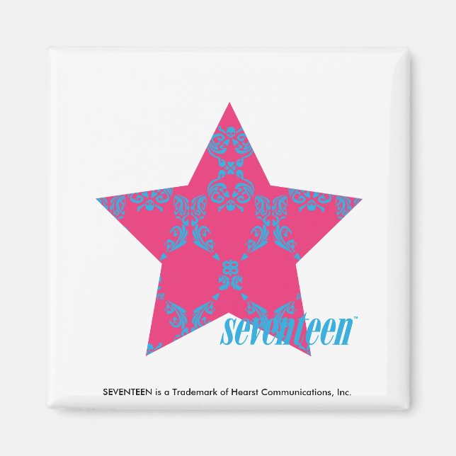 Damask Aqua-Magenta 2 Magnet (Vorne)