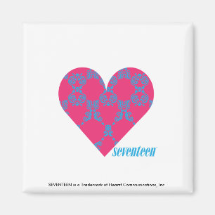 Damask Aqua-Magenta 4 Magnet