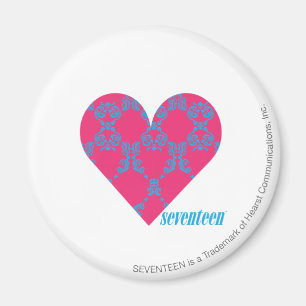 Damask Aqua-Magenta 4 Magnet