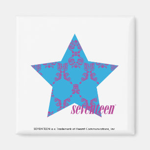 Damask Lila-Aqua 2 Magnet