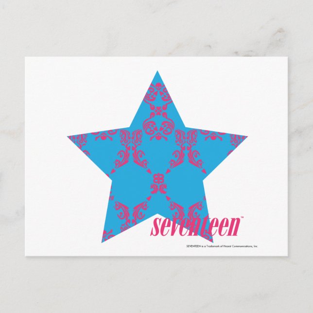 Damask Magenta-Aqua 2 Postkarte (Vorderseite)