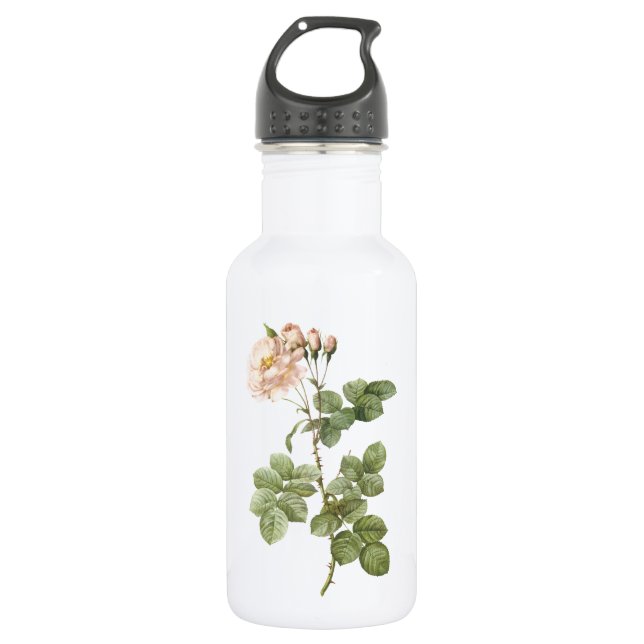 Damast-Rose (Rosa damascena aurora) von Redouté Trinkflasche (Vorderseite)