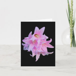 Dame Blume (belladonna Lily) Whitebg Sticker Karte