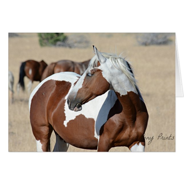 Dame Braveheart Card (Vorderseite (Horizontal))