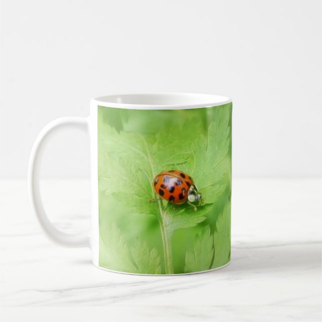 Dame Bug auf Feverfew Blatt Tasse (Links)