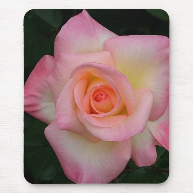 DAME DIANA ROSE MOUSEPAD (Vorne)