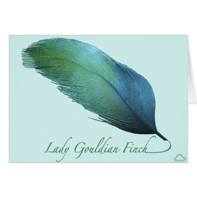 Dame Gouldian Finch Tail (Vorderseite (Horizontal))