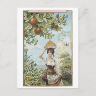 Dame mit Früchten Postkarte