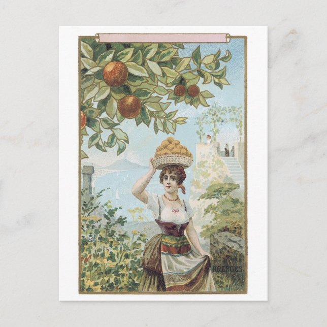 Dame mit Früchten Postkarte (Vorderseite)