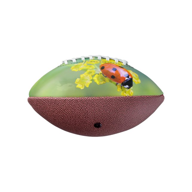 Dame oben football (Gedreht 270)